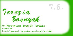 terezia bosnyak business card